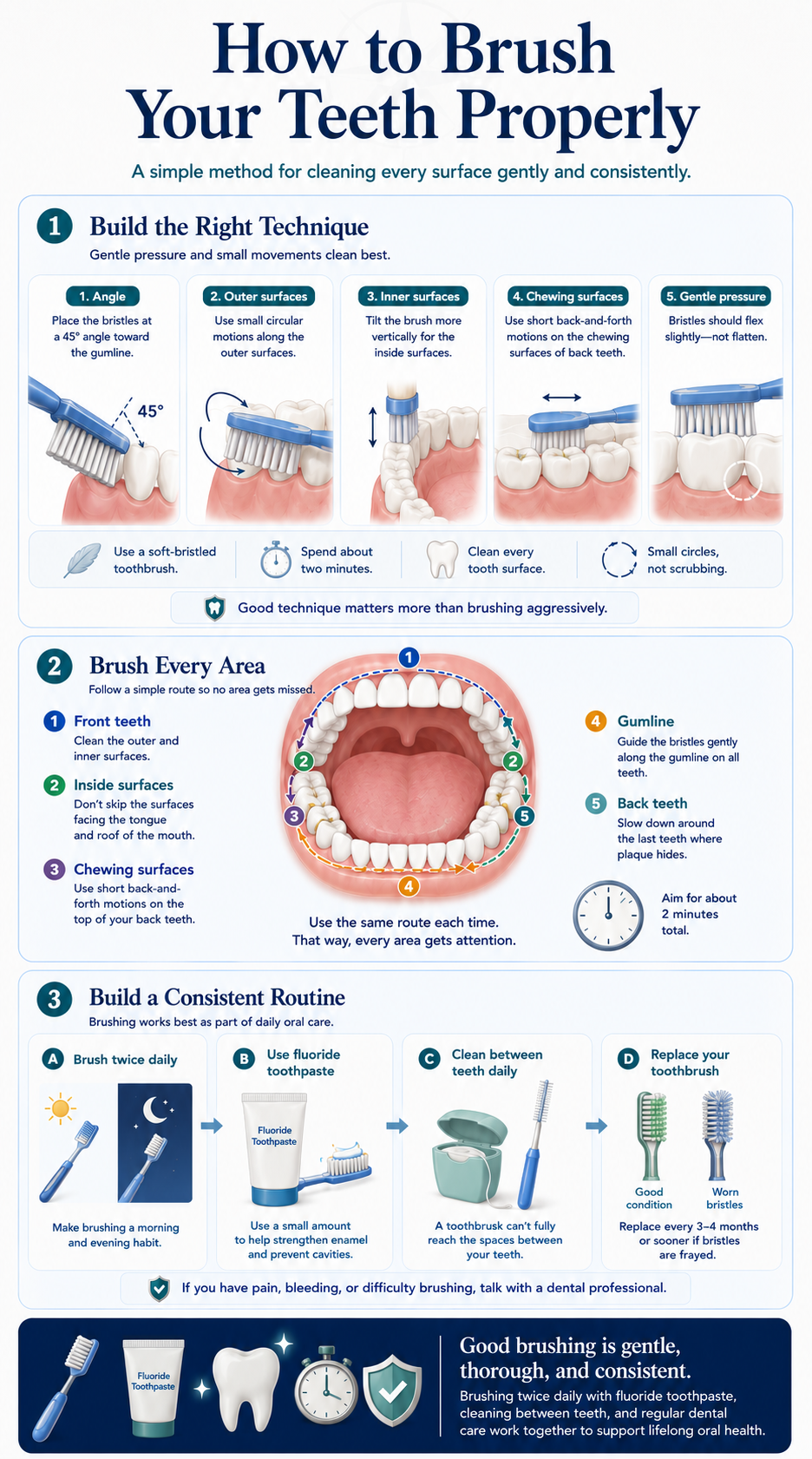 Brushing infographic showing a gentle 45-degree gumline angle, cleaning the outer, inner, and chewing surfaces, a consistent route around the mouth, and a twice-daily fluoride routine.