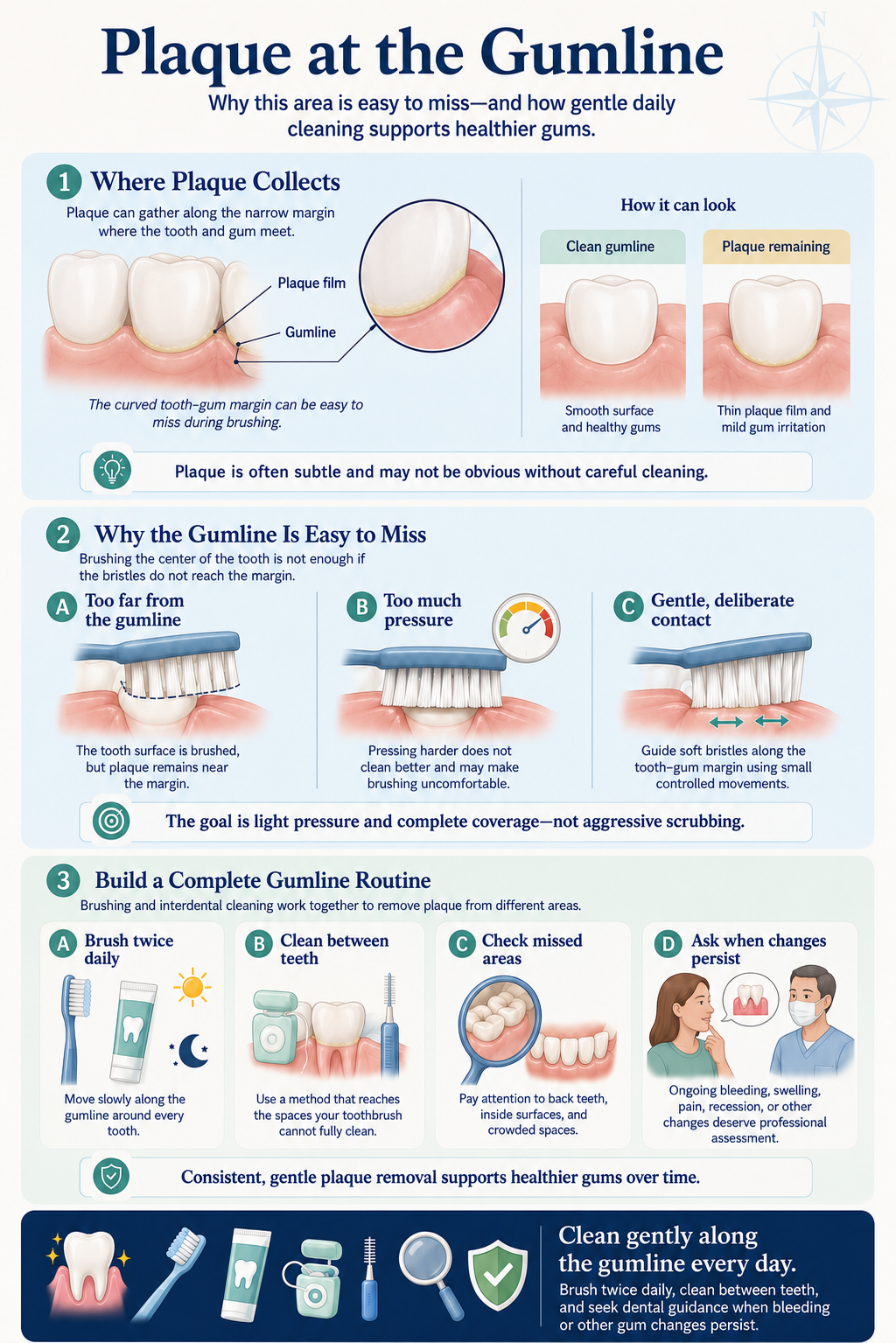 Portrait guide showing where plaque collects at the tooth-gum margin, why the gumline is easy to miss, and how gentle brushing and between-teeth cleaning support healthier gums.
