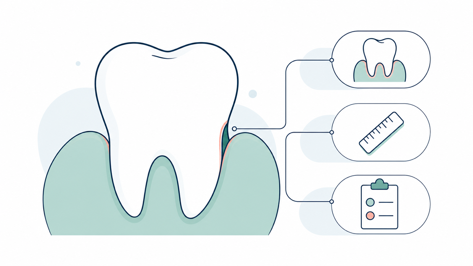 Simplified healthy tooth and gum illustration highlighting the small space dentists assess, with icons for measurement and professional assessment.